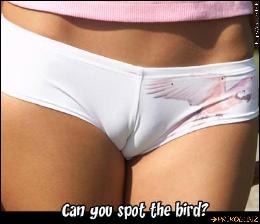  (1024x879, 124 k...)