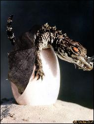  (876x1156, 140 k...)