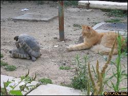  (1024x768, 150 k...)