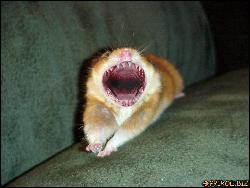  (1024x768, 119 k...)