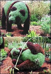  (725x1048, 231 k...)