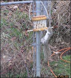  (939x1024, 262 k...)