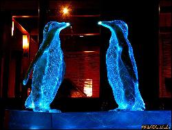  (1024x768, 151 k...)