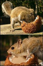  (800x1219, 227 k...)