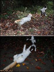  (800x1064, 163 k...)