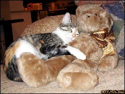  (1024x766, 156 k...)