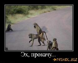  (600x484, 35 k�...)