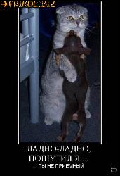  (410x600, 37 k�...)