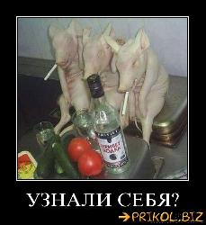  (456x497, 38 k�...)