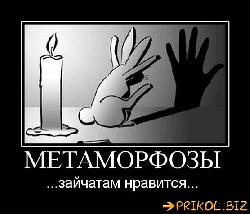  (556x474, 36 k�...)