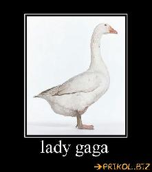  (510x579, 25 k�...)