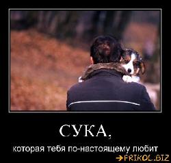  (600x569, 43 k�...)