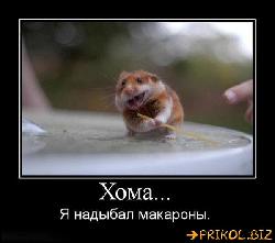  (600x530, 34 k�...)