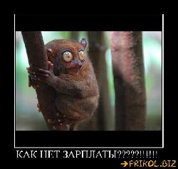  (600x569, 44 k�...)