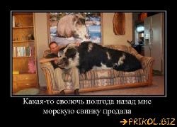  (600x428, 45 k�...)