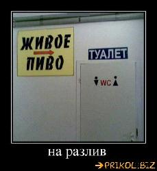  (493x540, 39 k�...)