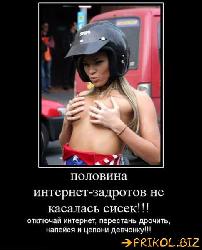  (485x600, 45 k�...)