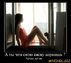  (600x532, 44 k�...)