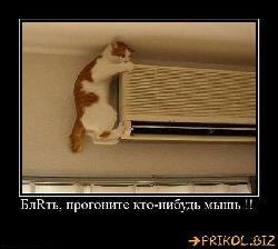  (600x537, 43 k�...)