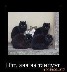  (559x598, 44 k�...)