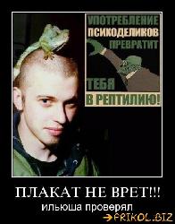  (471x600, 47 k�...)