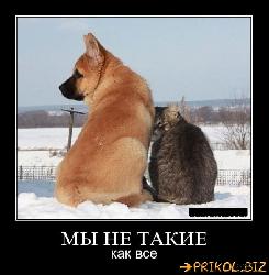  (586x600, 47 k�...)