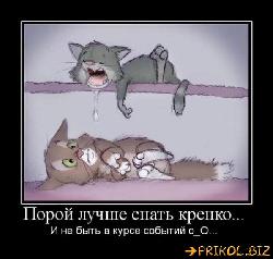  (600x570, 44 k�...)