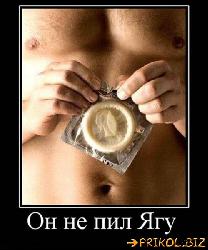  (499x600, 48 k�...)