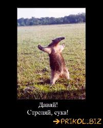  (400x499, 44 k�...)