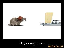  (780x590, 31 k�...)