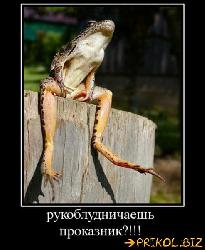  (493x600, 49 k�...)