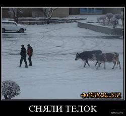  (600x550, 47 k�...)