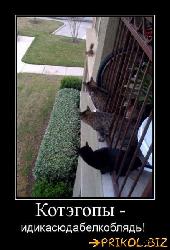  (407x600, 49 k�...)