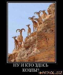  (500x600, 50 k�...)