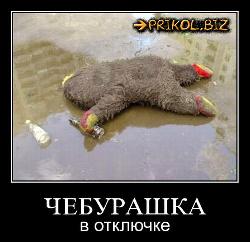  (500x484, 44 k�...)