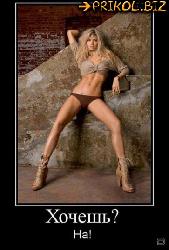  (363x540, 44 k�...)