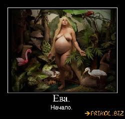  (600x570, 51 k�...)