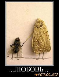  (464x600, 50 k�...)