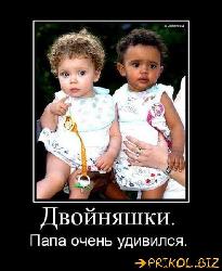  (493x600, 51 k�...)