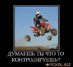  (550x505, 40 k�...)