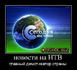  (530x480, 54 k�...)