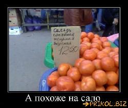  (550x463, 43 k�...)