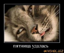  (600x496, 52 k�...)