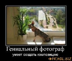  (591x500, 52 k�...)