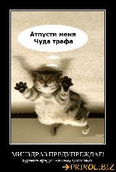  (421x623, 52 k�...)