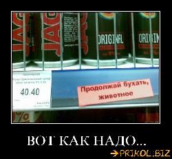  (540x497, 50 k�...)