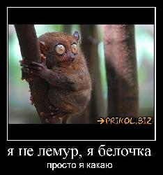  (562x601, 50 k�...)