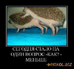  (550x517, 46 k�...)