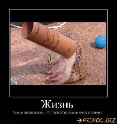  (565x600, 56 k�...)