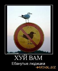  (550x674, 47 k�...)